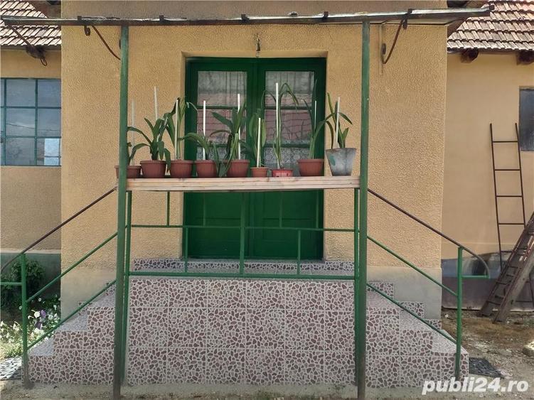 Casă cu 3 camere cu Teren 10000 Mp în Gherteniș