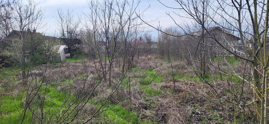 Casă cu Teren 2000 Mp în Plenița