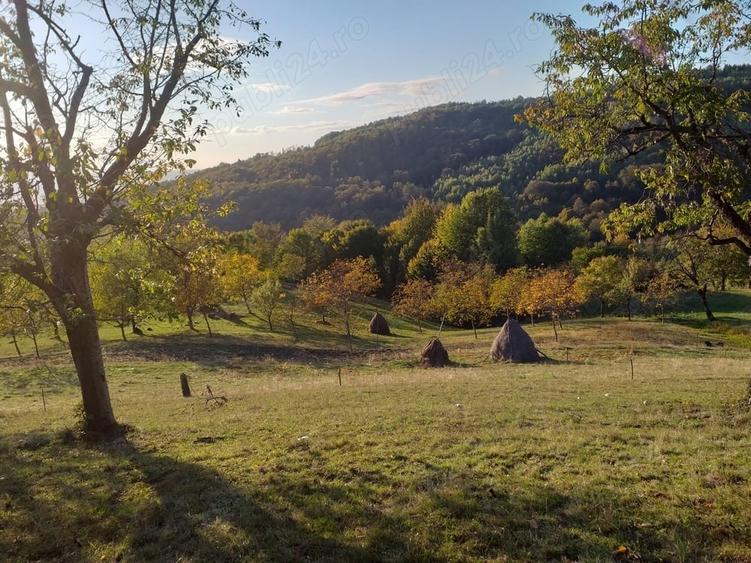Teren de 2000 mp, în Brusturi
