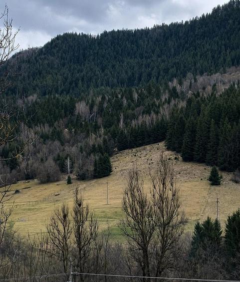 Teren de 6250 mp, în Vidra