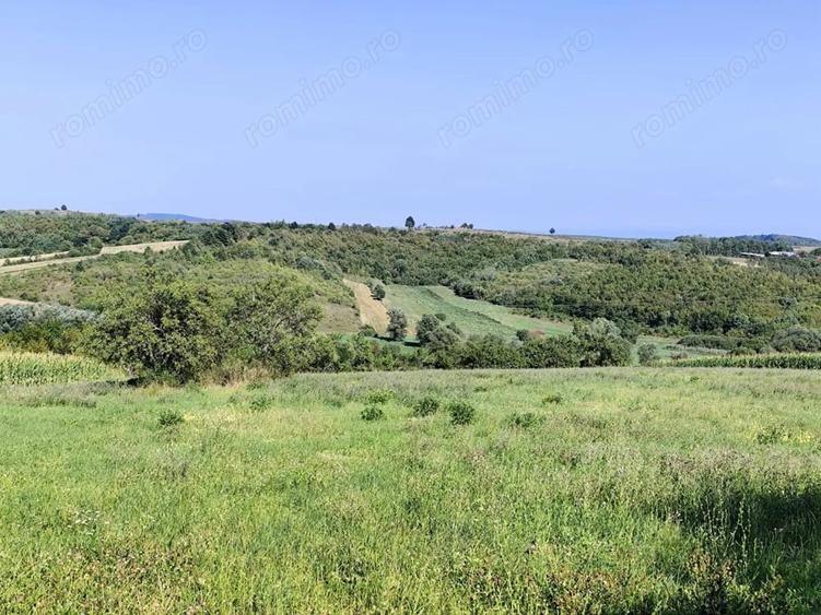 Casă cu 2 camere cu Teren 4600 Mp în Calea Mare