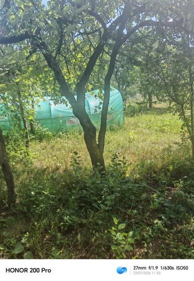 Casă individuală cu 2 camere cu Teren 1000 Mp în Băhnișoara