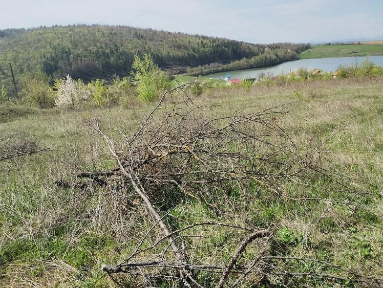 Teren de 330 mp, în Moacșa