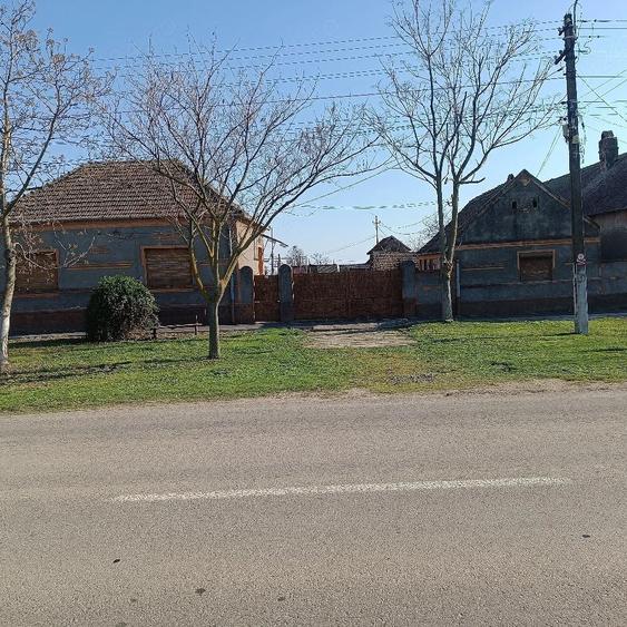 casa de vanzare Cebza - 5