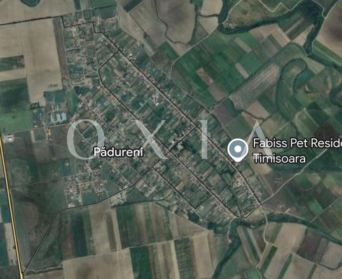 Teren Construcții intravilan de 6400 mp, în Pădureni (Jebel)
