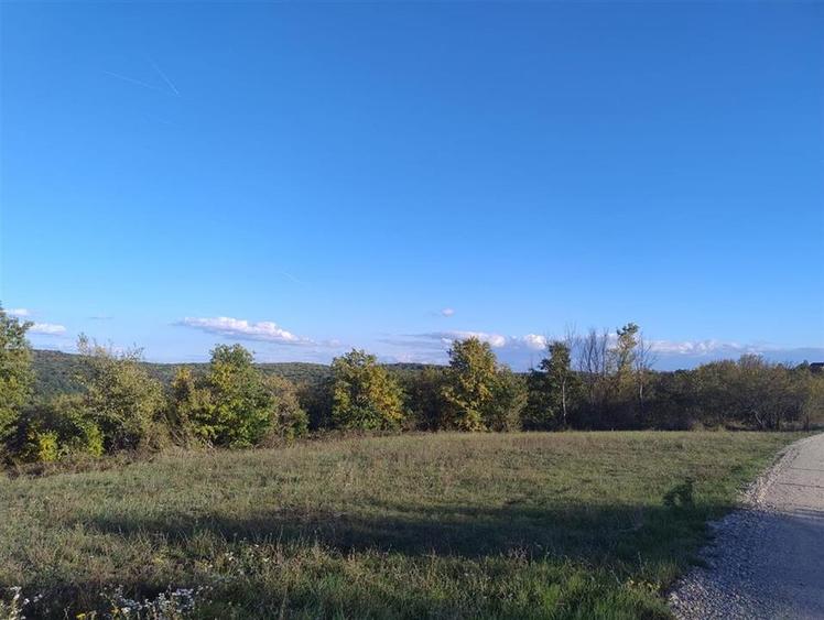 Teren Construcții intravilan de 534 mp, în Săldăbagiu de Munte
