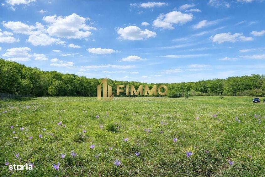 Spațiu comercial, în Dragomirna
