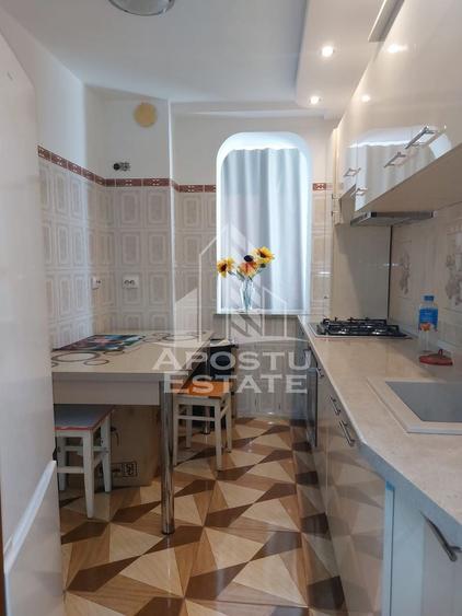 Apartament cu 2 camere semidecomandat, mobilat în Șagului