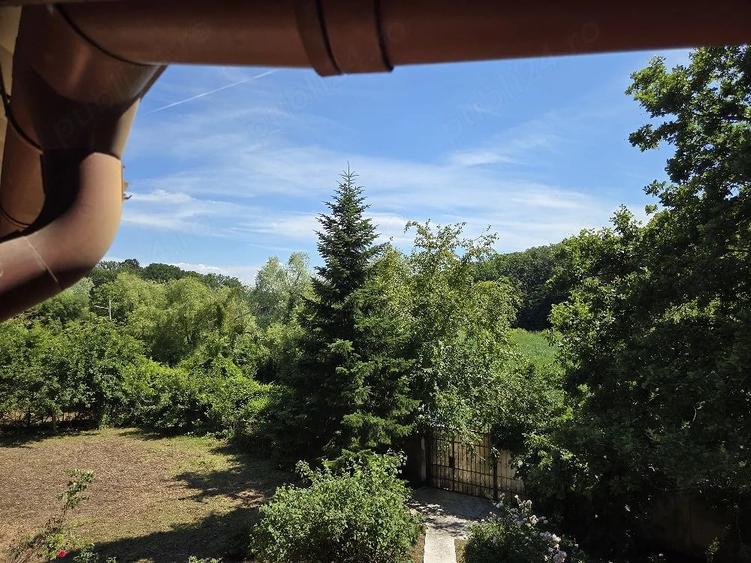 Casă cu Teren 1500 Mp în Bălteni