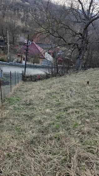 Teren de 4400 mp, în Central