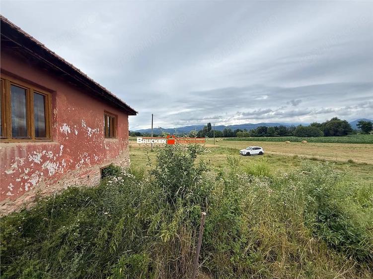 Teren de 60000 mp, în Beiușele
