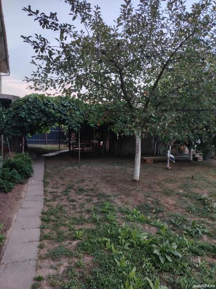 Apartament cu 2 camere decomandat în Remetea Mare
