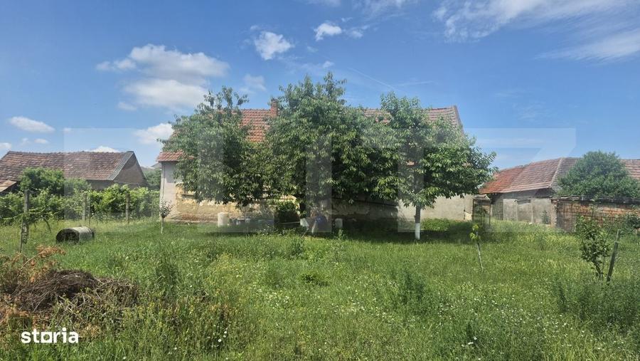 Spațiu comercial, în Ambud