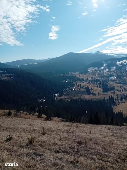 Teren de 1000 mp, în Arieșeni