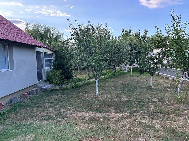 Casă cu Teren 7000 Mp în Central