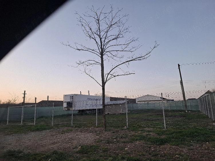 Spațiu comercial, în Giarmata