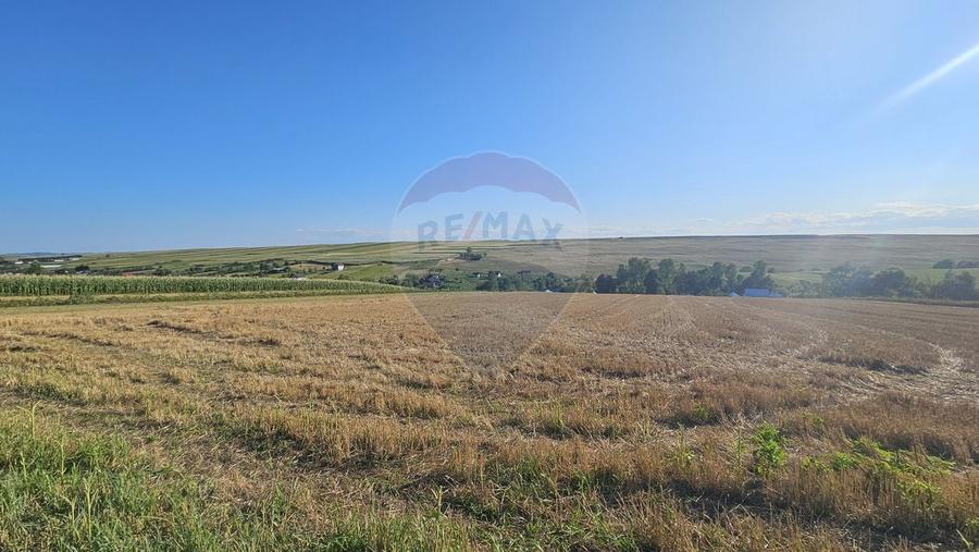Teren Construcții intravilan de 7500 mp, în Moara Carp