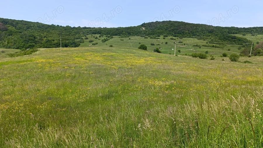 Teren de 30000 mp, în Saschiz