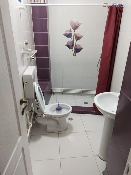 Pers fizica apart in Tatarasi statie Padurii - 8