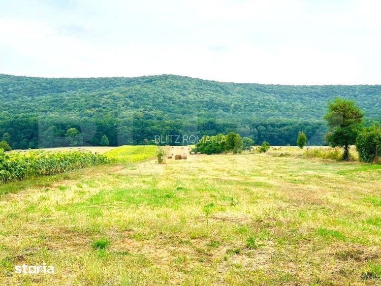 Teren de vanzare, 15.000 mp, zona Poieni - Com. Schitu Duca