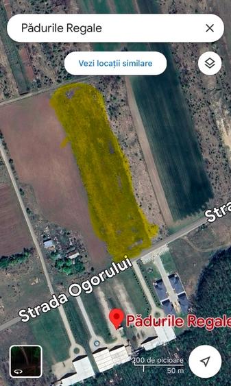 Teren Construcții intravilan de 5000 mp, în Corbeanca