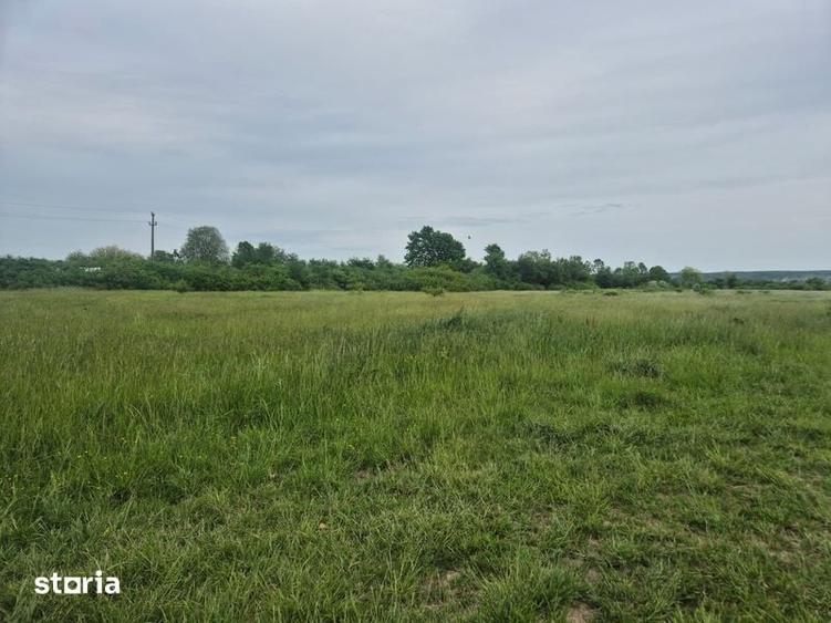 Casă cu 5 camere cu Teren 1800 Mp în Dănești