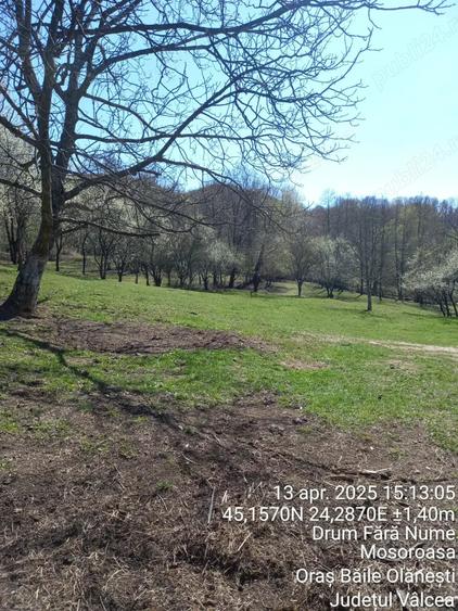 Teren de 2600 mp, în Mosoroasa