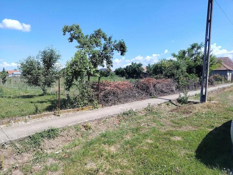 Teren de 1340 mp, în Ianoșda