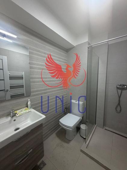 Garsonieră decomandată, mobilată în Brazda lui Novac