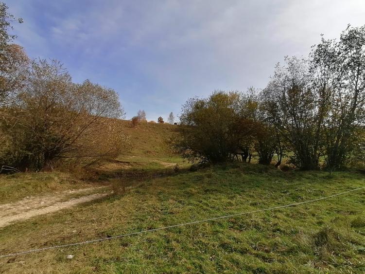 Teren agricol extravilan de 13000 mp, în Sohodol