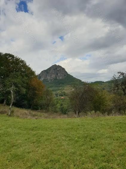Teren de 8500 mp, în Hărțăgani