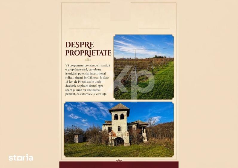 Teren de 53560 mp, în Călinești