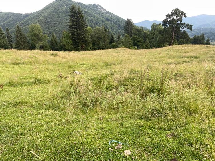 Teren Construcții intravilan de 12750 mp, în Pârâul Rece