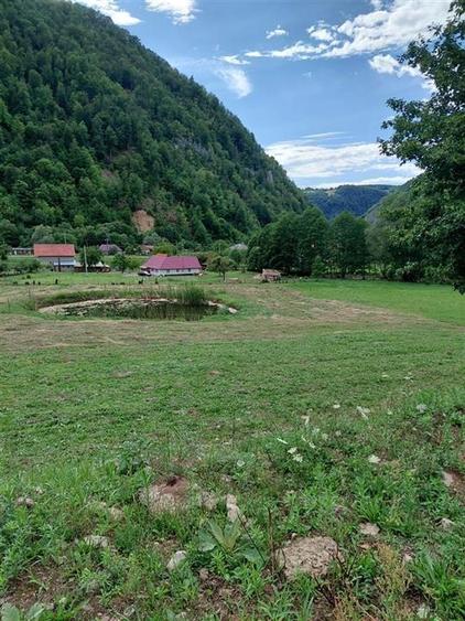 Teren Construcții intravilan de 9600 mp, în Bulz