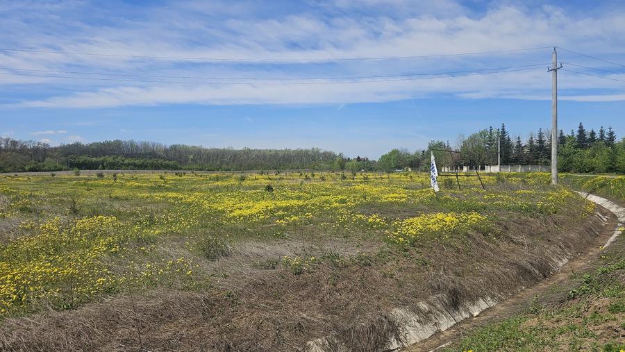 Teren Construcții intravilan de 35000 mp, în Balotești