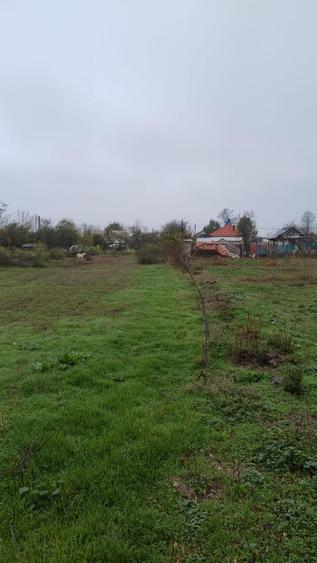 Teren Construcții intravilan de 3000 mp, în Petrești
