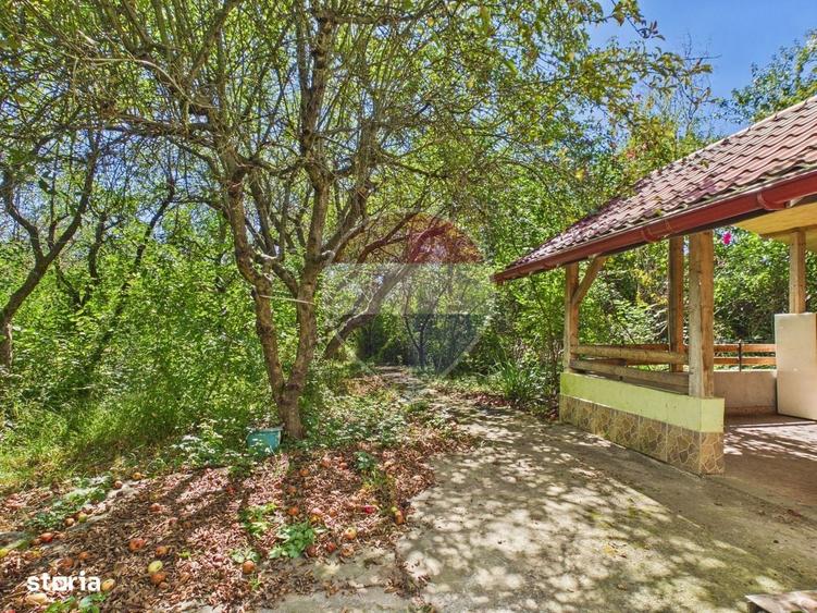 Casa P+1 cu teren, livada si vie Pucioasa| Acces facil Sinaia - 7