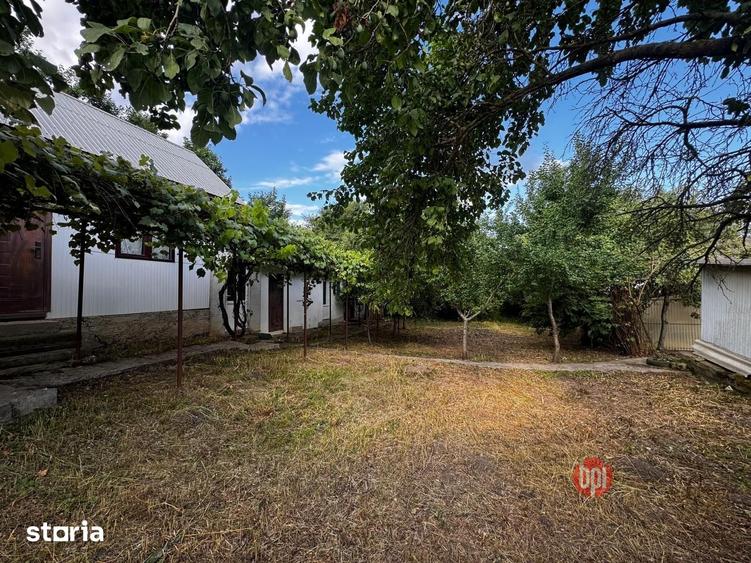 Casă cu 4 camere cu Teren 5600 Mp în Vulturești