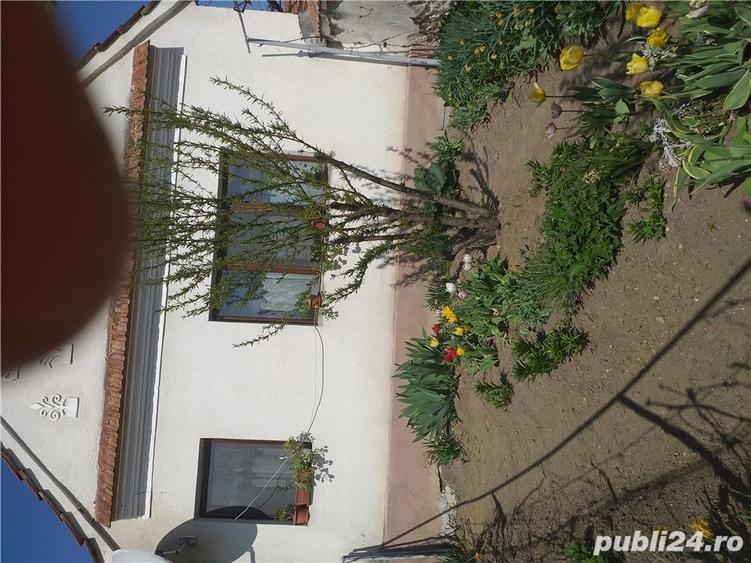 Casă cu 6 camere cu Teren 9000 Mp în Orăștioara de Jos