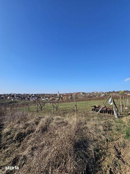 Teren intravilan Saldabagiu de Munte 850 mp - 4