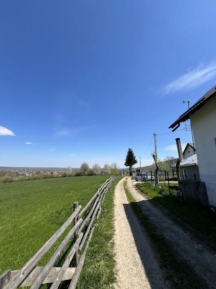 Spațiu comercial, în Putna