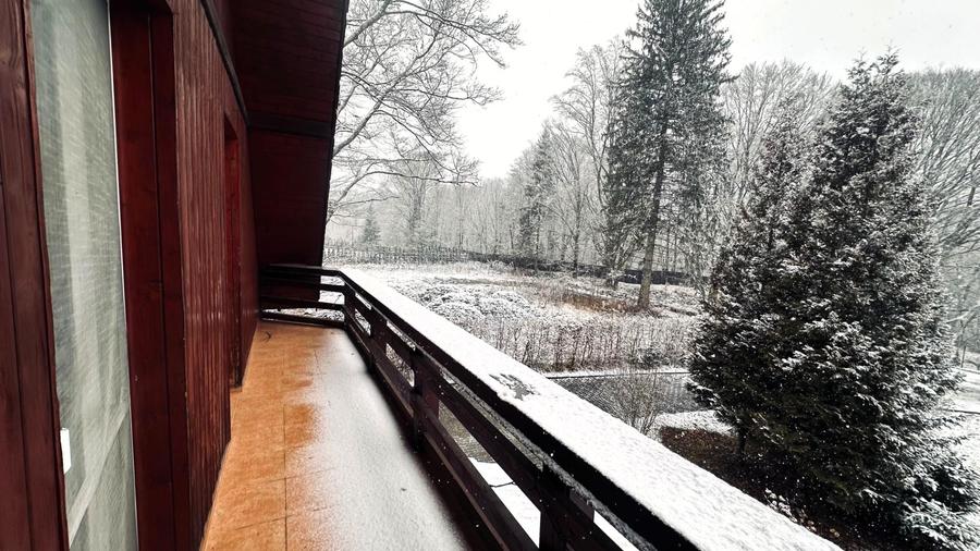 Casa de vacanta cu teren 2000mp Valea Avrigului - 30