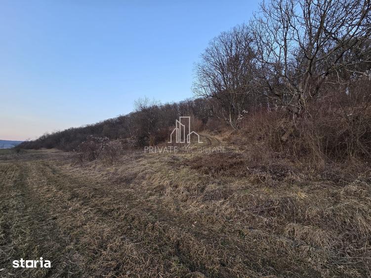 Teren de 28800 mp, în Sighișoara