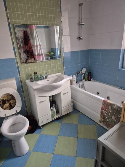 Apartament decomnadat cu 3 camere,2 bai,gradina si parcare ,zona Eroilor - 2