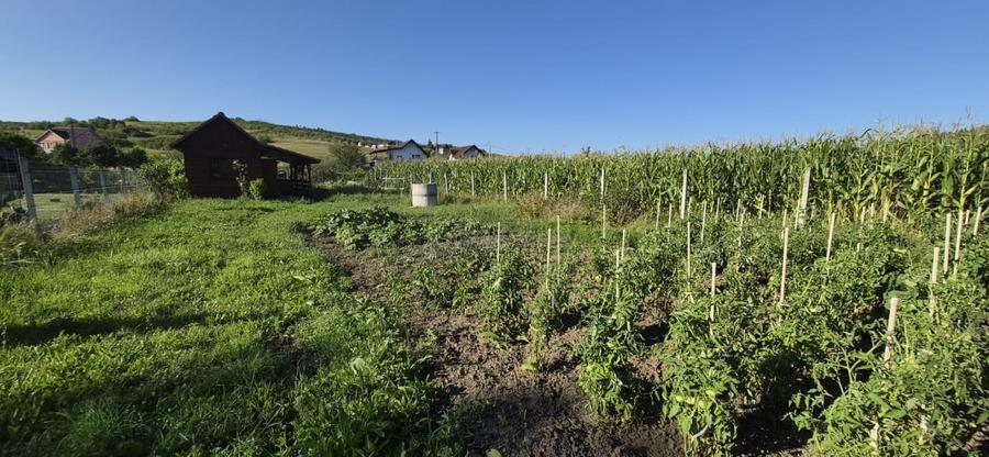 Casă individuală cu 1 camere cu Teren 1000 Mp în Sigmir