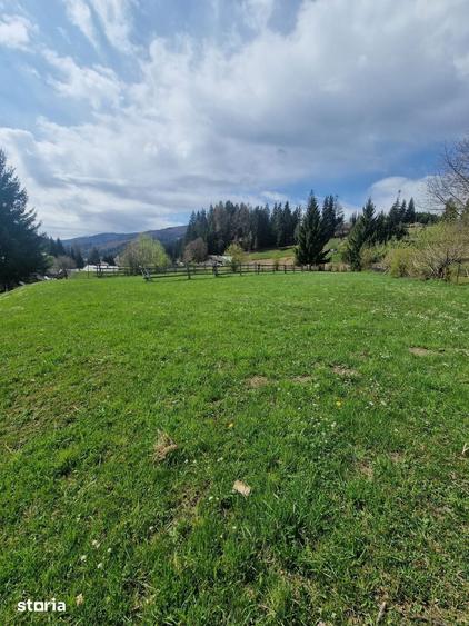 Teren de 3146 mp, în Pojorâta