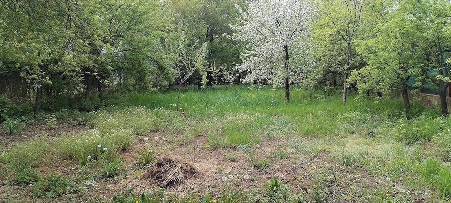 Teren de 590 mp, în Giurgiului