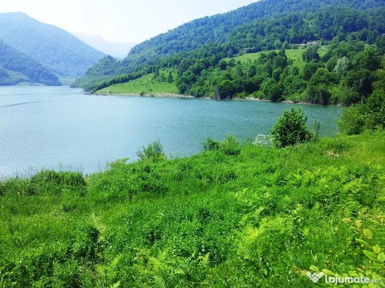 Teren de 73000 mp, în Siriu