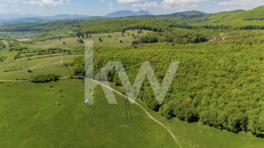 Teren agricol extravilan de 1500 mp, în Codlea