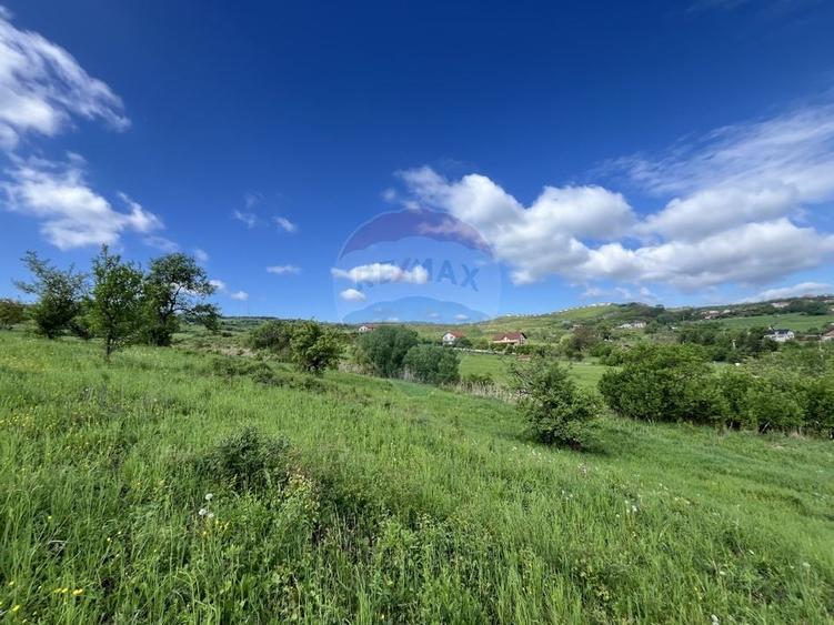 Teren Construcții intravilan de 800 mp, în Borhanci